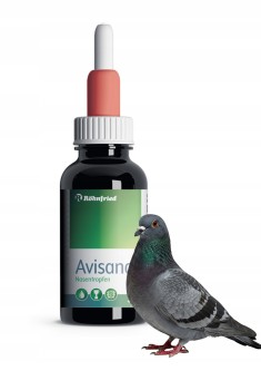 Obrazek dla: ROHNFRIED AVISANA 50 ML KROPLE DO NOSA I OCZU DLA GOŁĘBI