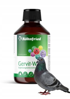 Obrazek dla: Rohnfried  GervitW  250ml (witaminy)