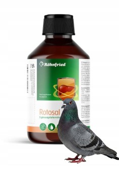 Obrazek dla: ROHNFRIED Rotosal 250ml