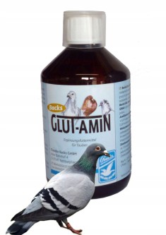 Obrazek dla: Backs GlutAmin to skoncentrowane aminokwasy dla gołębi wspierające szybką regenerację po wysiłku, rozwój mięśni oraz utrzymanie wysokiej wydolności w sezonie lotowym.