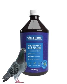 Obrazek dla: Volantor Probiotyk to płynny preparat wspierający równowagę flory jelitowej, poprawiający odporność i pomagający w regeneracji organizmu gołębi w okresie lotów, rozpłodu oraz po leczeniu.
