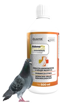 Obrazek dla: AdenoFix to preparat wspierający młode gołębie w okresie osłabienia, problemów trawiennych oraz zwiększonego ryzyka adenowirozy. Pomaga w odbudowie sił i poprawie ogólnej kondycji.