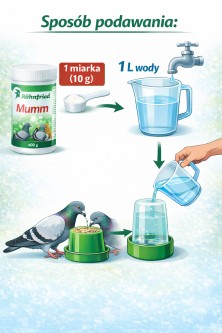 Obrazek 2 dla: Rohnfried  Mumm  400g (preparat energetyczny)