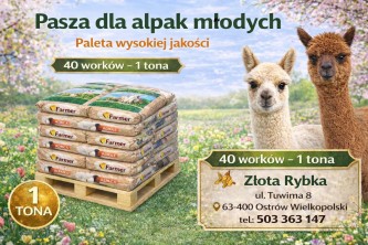 Obrazek dla: Farmer Alpaka Mała  Mieszanka paszowa uzupełniająca dla Alpak 1 tona  Przesyłka gratis!